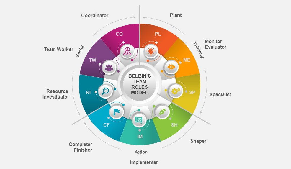 Belbin Team Roles Model - Experianta